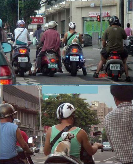 micul motociclist