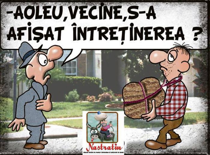 10806471_762644960478471_960688117994405958_n