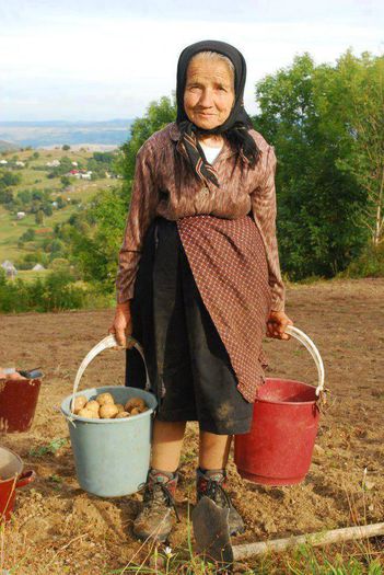 10846473_762786210464346_7103409270215701293_n - DE GUSTIBUS  ET COLORIBUS NON DISPUTANDUM