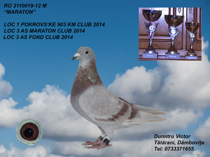 Maraton - Loc 1 As Maraton crescator 2014 si echipa