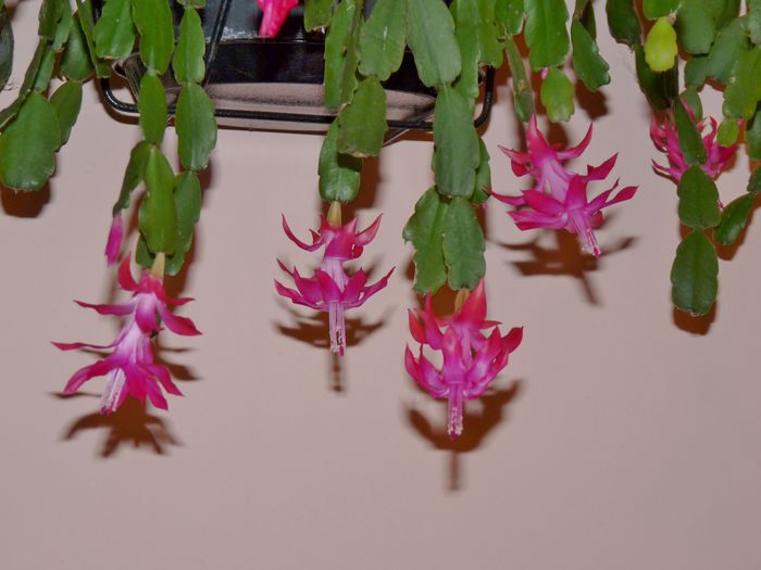 ; P1540936 (1280x960)
