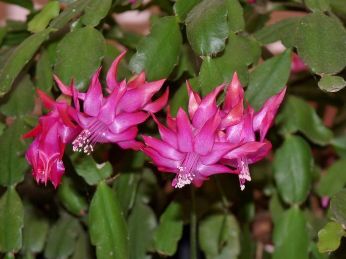 ; P1540937 (1280x960)
