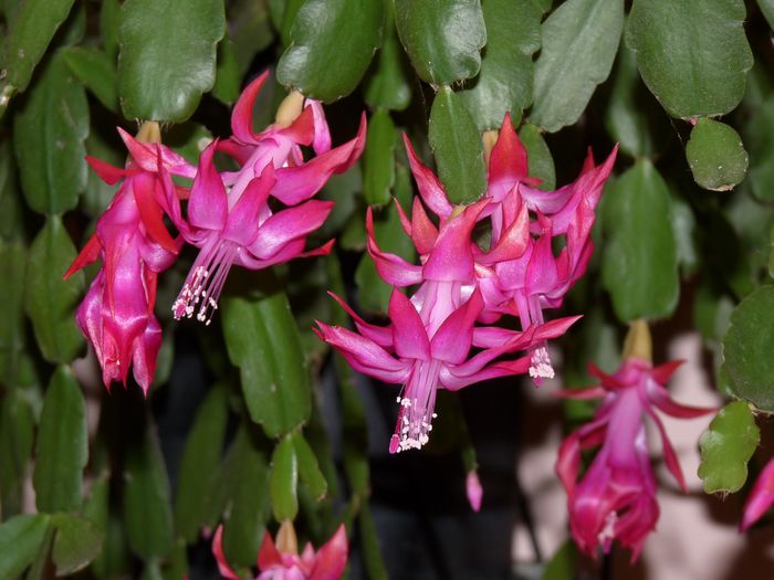 ; P1540945 (1280x960)
