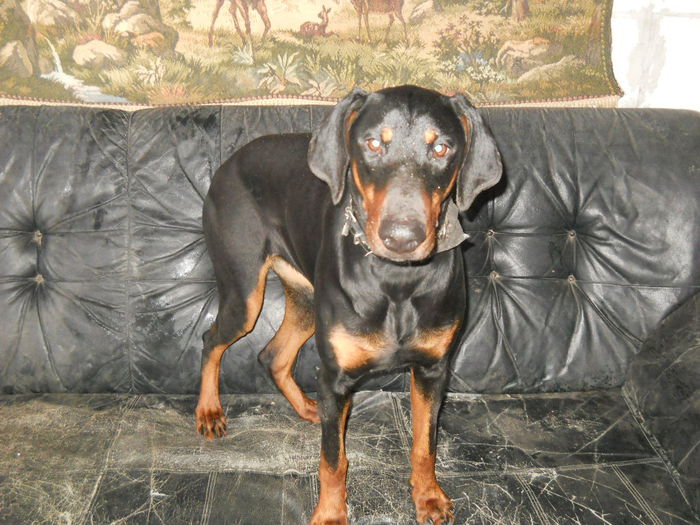 nu are voie nimeni sa ne-o ocupe