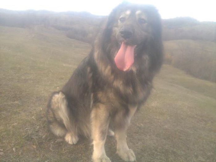 athos 1