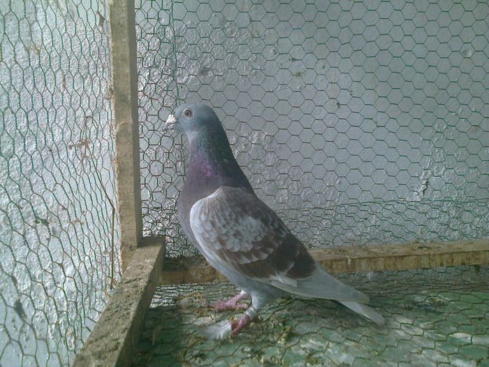 Imag 012344