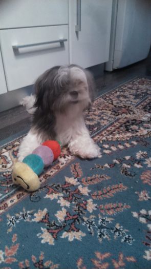 DSC_0505 - Fritz  Bella  Mimi