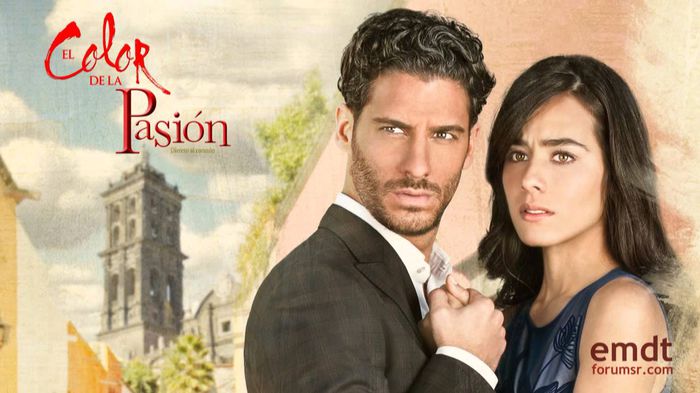 222. Culorile iubirii (2014); El color de la pasion
