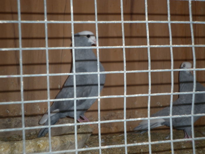 P1010094