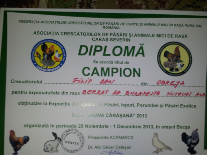 poze 2009