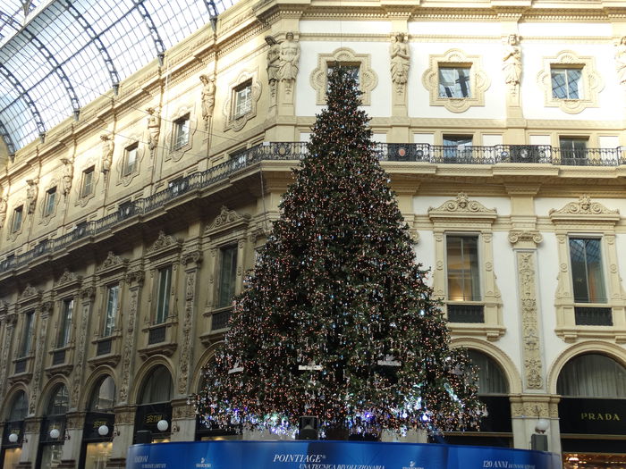 DSC04462 - Milano