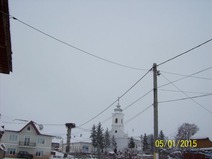 100_8268