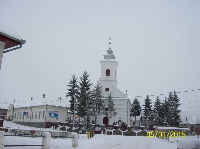 100_8271