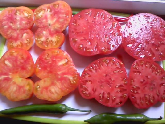 -TOMATE BEEFSTEAK-HAWAIIAN PINEAPPLE; cele cu rosu si gasben-au un gust deosebit apropiat de ananas

