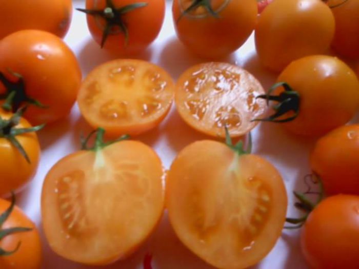 TOMATE ORANGE; SUNT F BUNE LA GUST INSA PUTIN ACRISOARE
FF REZISTENTE LA BOLI!
