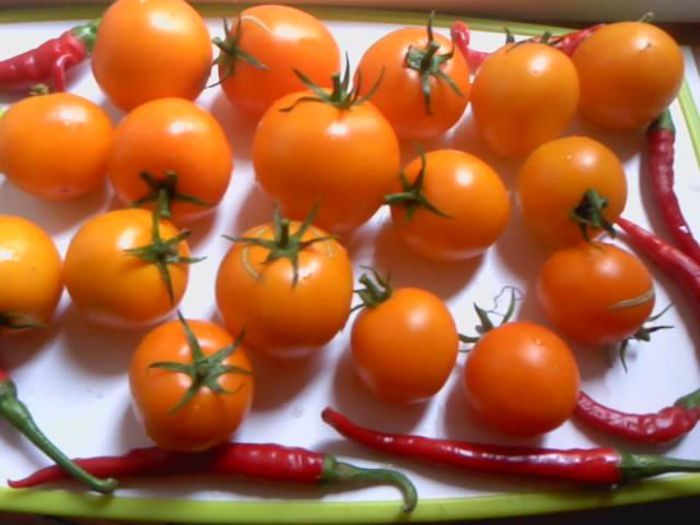 tomate orange si ardei iute cayanne; tomate orange si ardei iute cayanne
