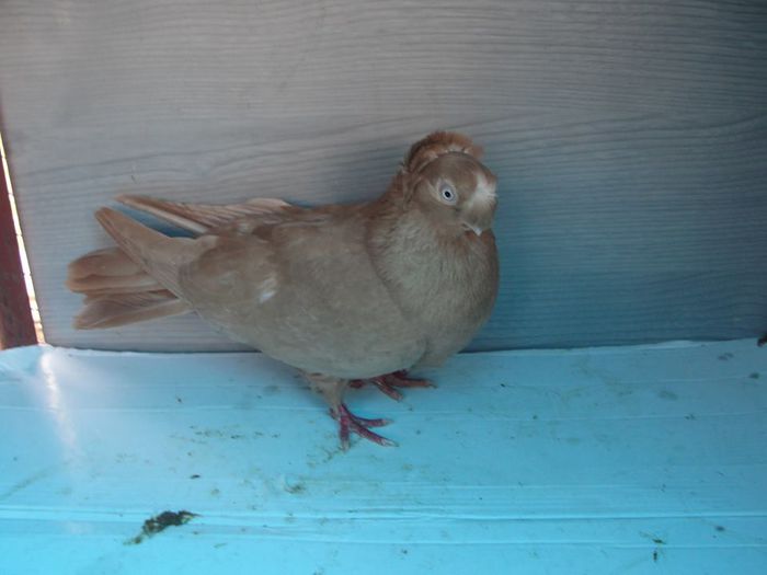 10745009 f 2011 - Plecați ALBUM 1