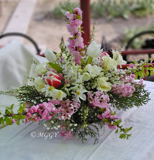 P3240375 (987x1024) - 01 - Floristica