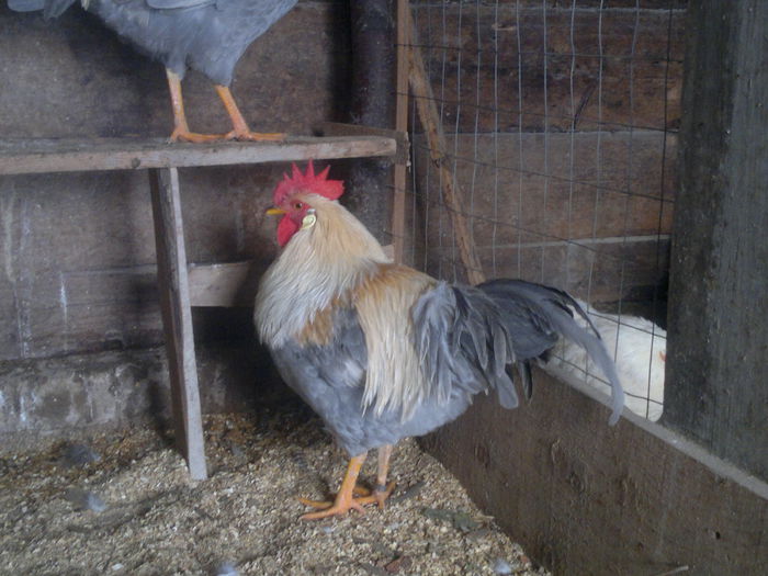 2015-01-05-3143; vandut
