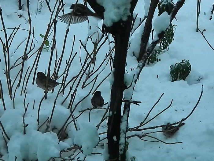 DSCN2828 - SOCIALIZARE_2