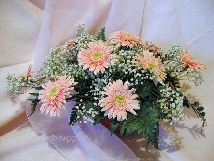 PC160062 - 01 - Floristica