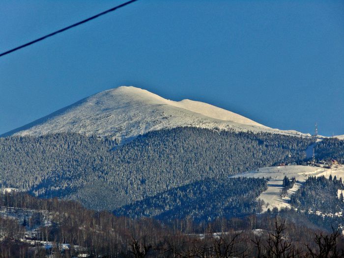 DSC00605