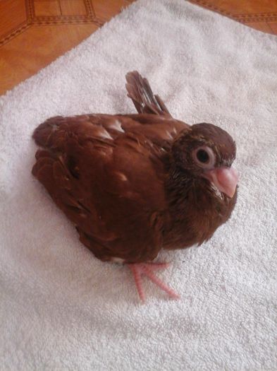 10909425_915059221861525_226193372_o