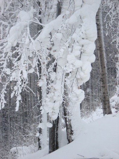 Candelabru 2 - Suior- Mogosa -Maramures