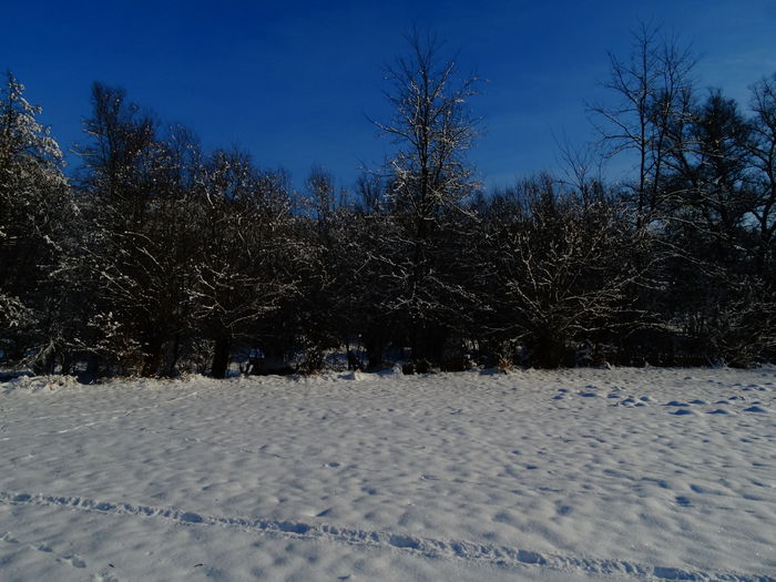 DSC08921 - Diverse fotografii