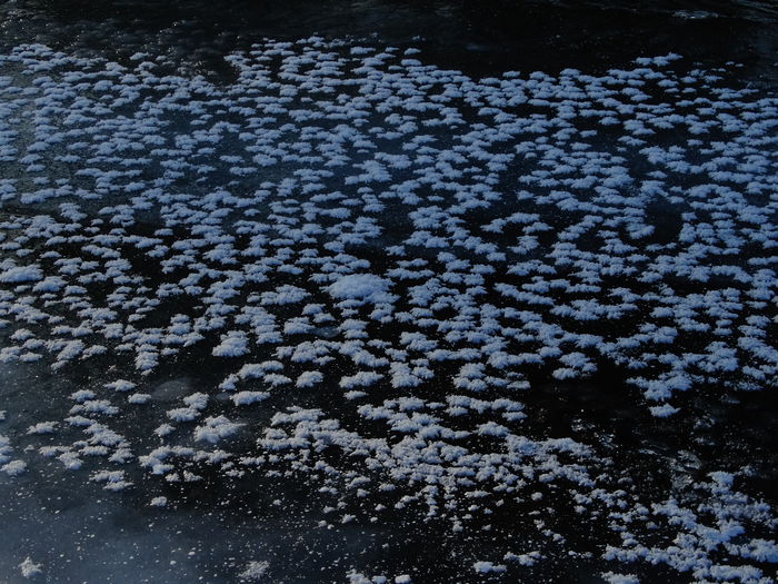 DSC08907 - Diverse fotografii