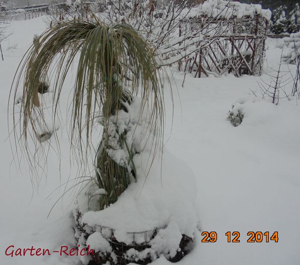  - Parcul nostru-Unser Park