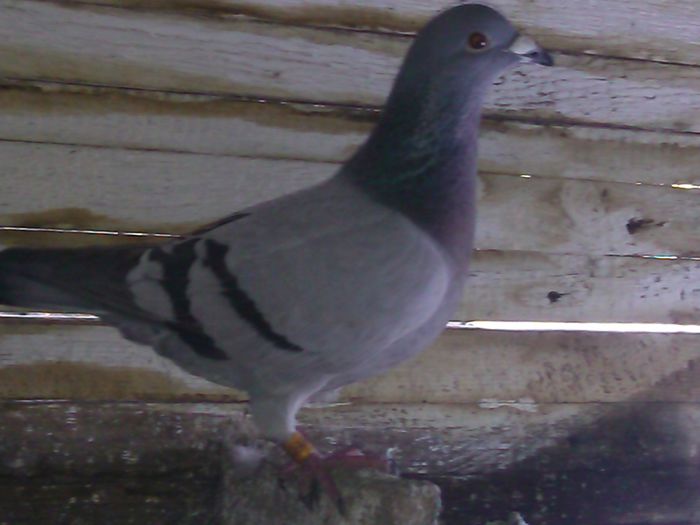 IMG_20150106_122213_825