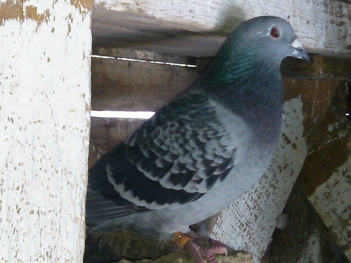 IMG_20150106_122251_760