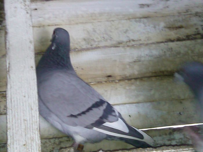 IMG_20150106_122256_267