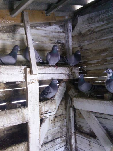 IMG_20150106_122315_463