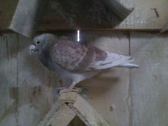 Imag 012375