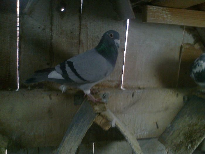 Imag 012378