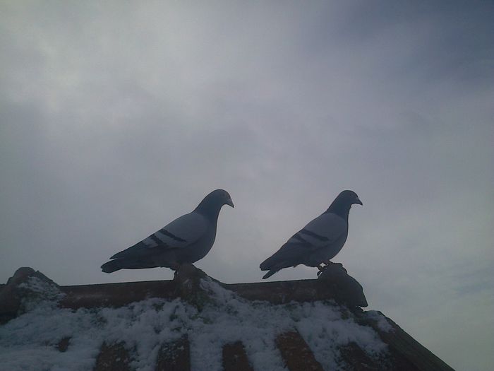 Imag 012414