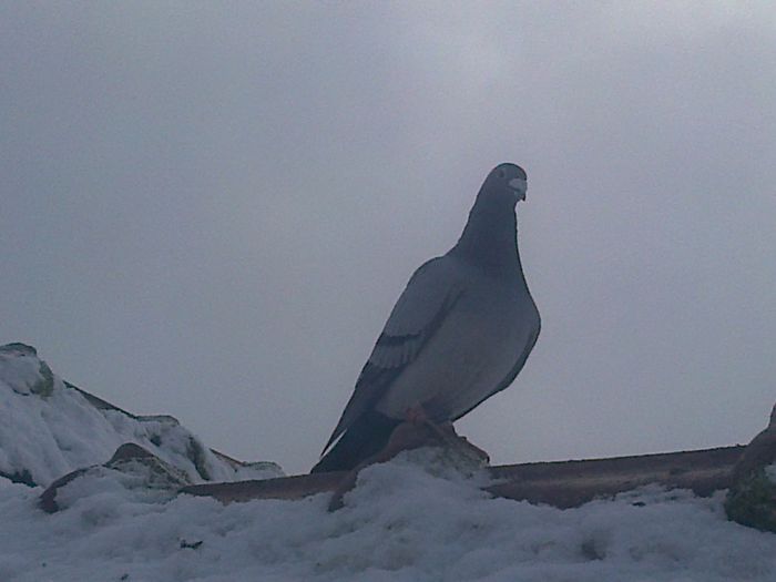Imag 012415