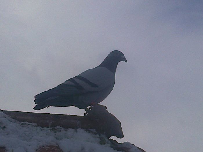 Imag 012416