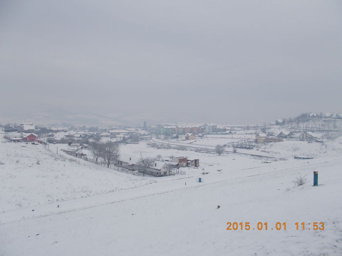 Medias iarna - Medias-2015