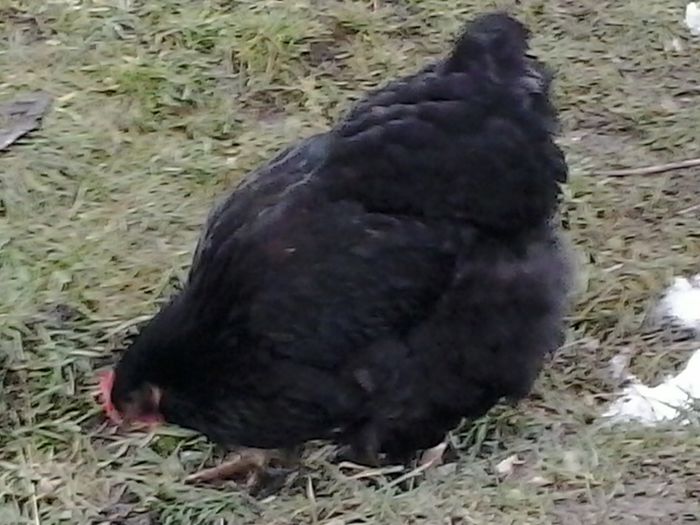 2014-12-19 16.14.26 - Gaini 2015