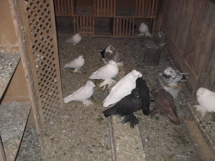 yonchesint lahoretobosari 009 - aaaaaaaaaaaaa