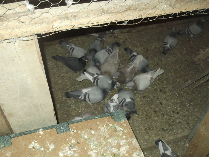 yonchesint lahoretobosari 010 - aaaaaaaaaaaaa