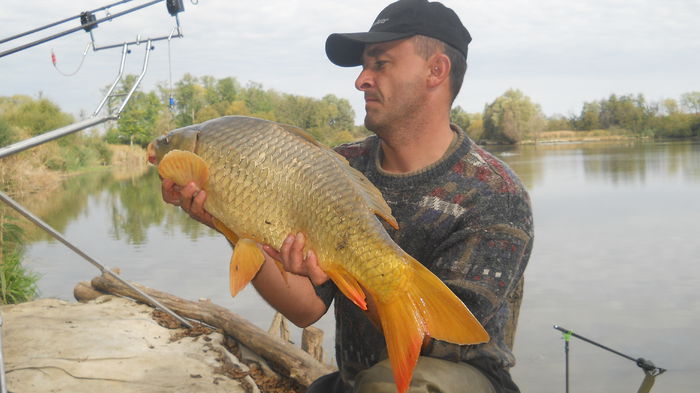 DOMBOVAR octombrie 2012