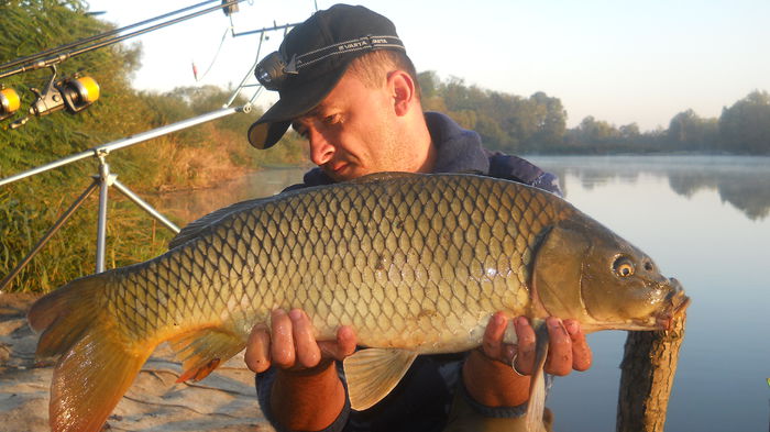 DOMBOVAR octombrie 2012