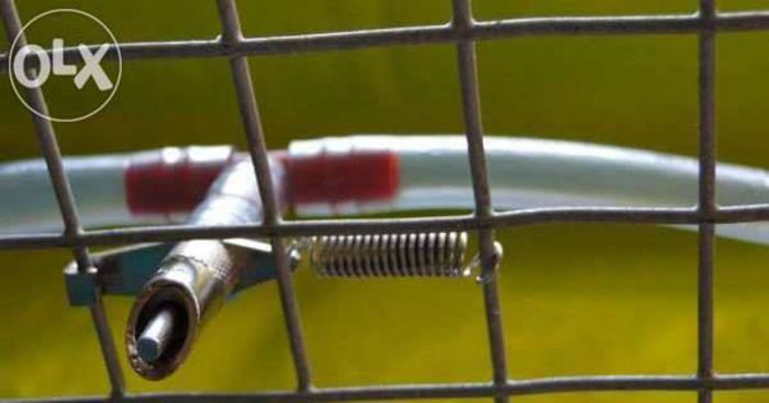 10915343_326635364199617_7277165213212464833_n