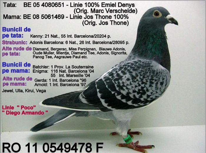 Jos Thone-Emil Denis