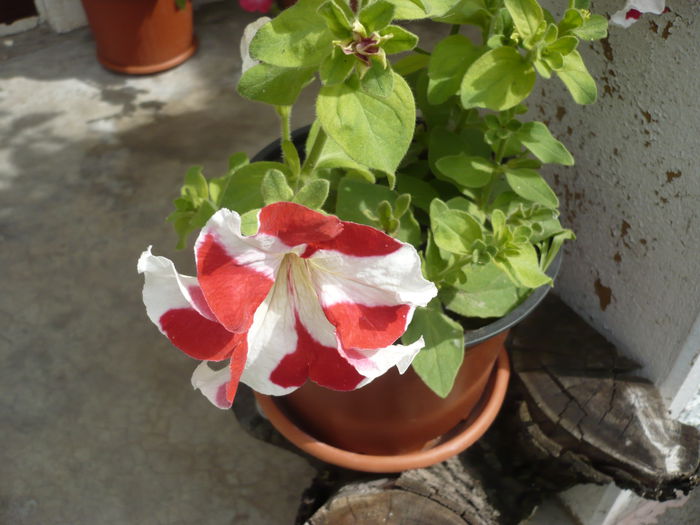 P1120904