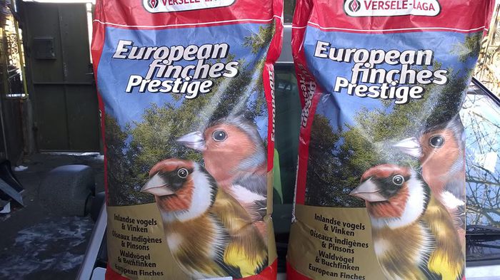 1EUROPEAN FINCHES PRESTIGE17 lei kg